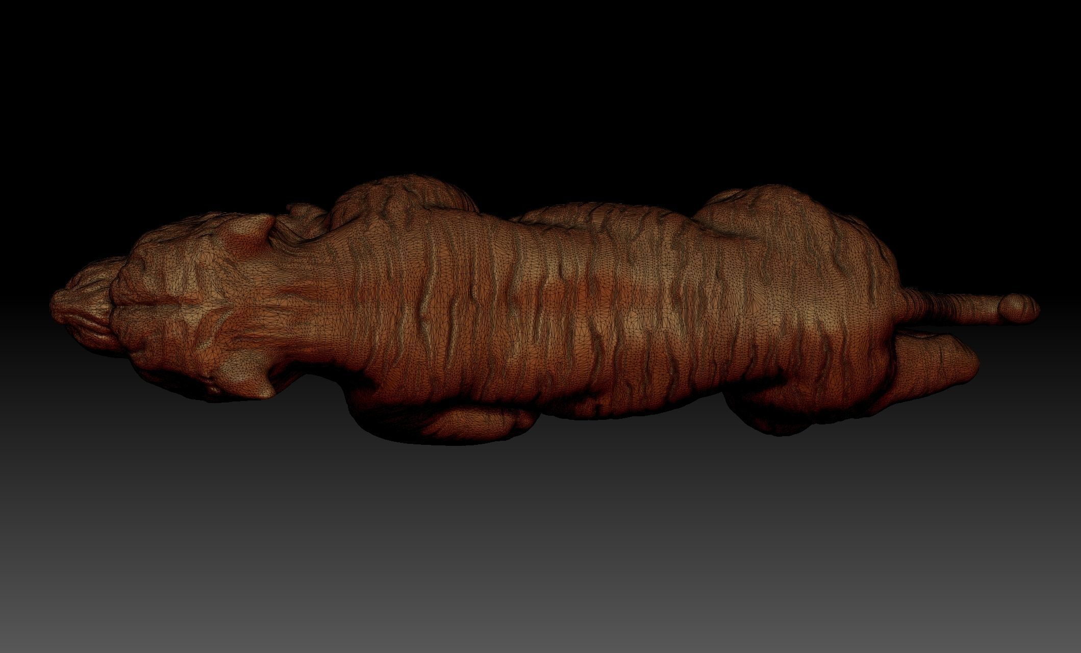 Tiger 3D print model_8