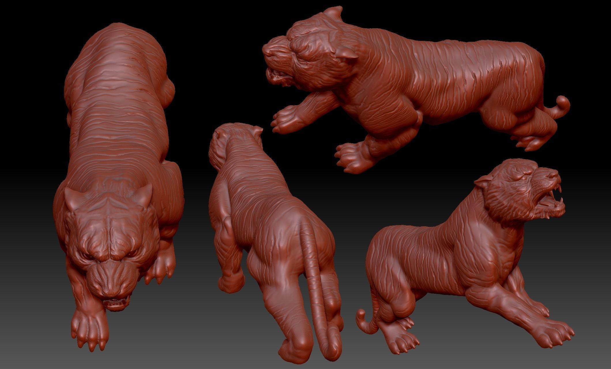 Tiger 3D print model_7