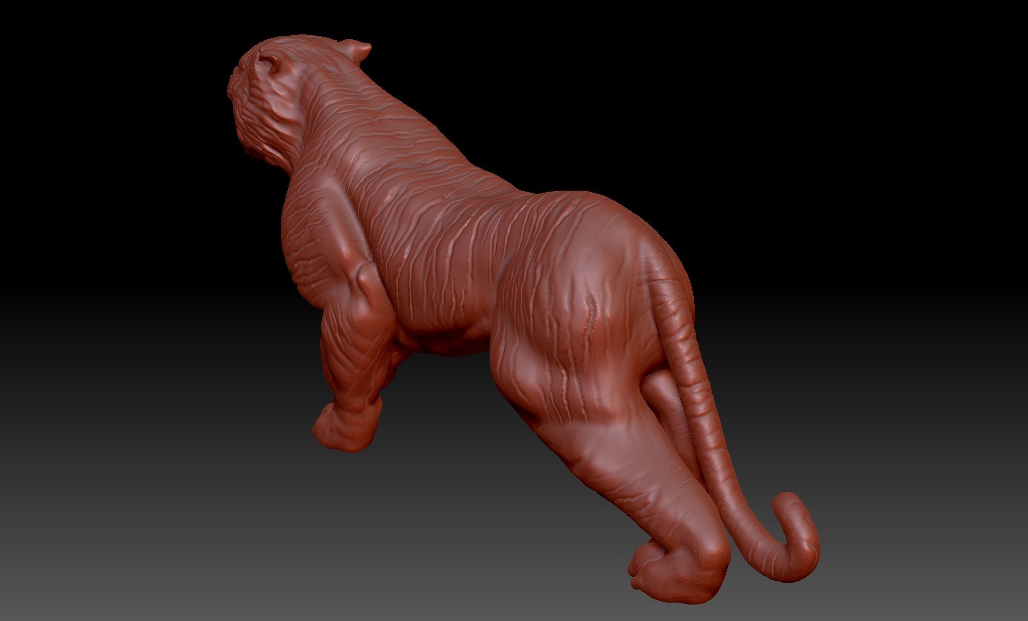 Tiger 3D print model_5