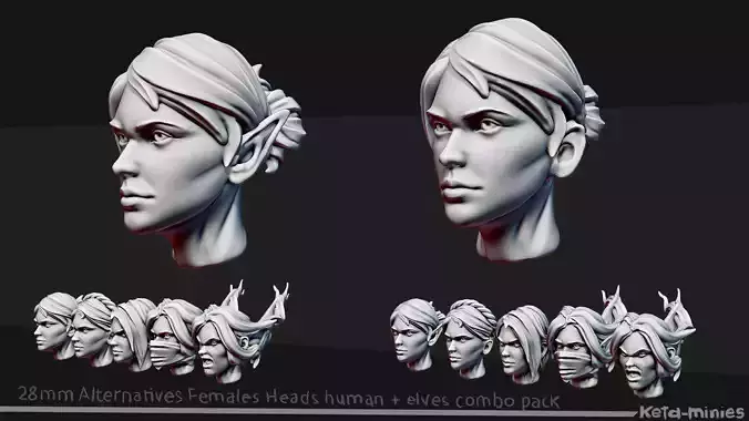 Alternatives females heads pack 28mm  -human and elves- 3D print model