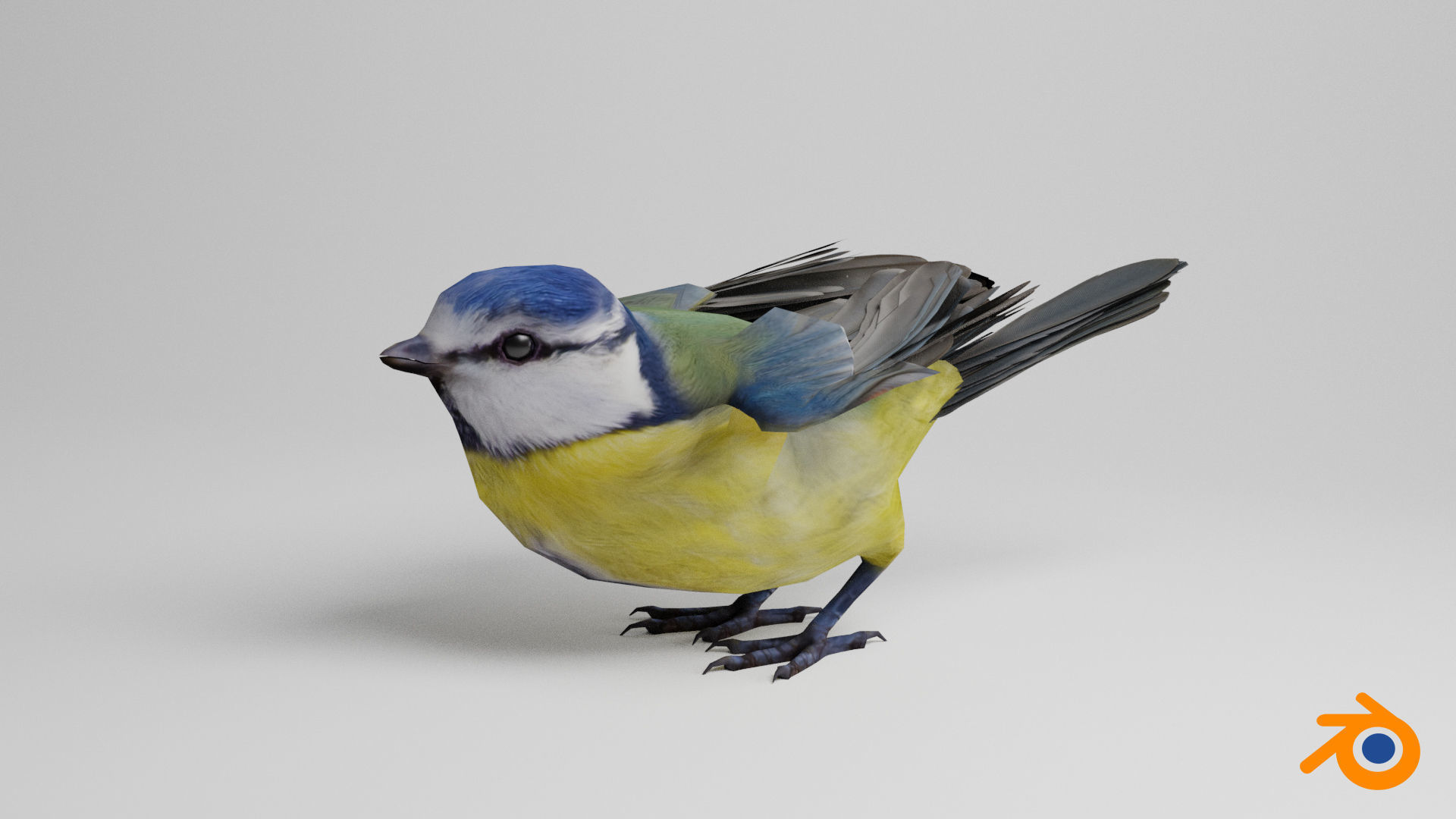 Blue tit Low-poly 3D model_13