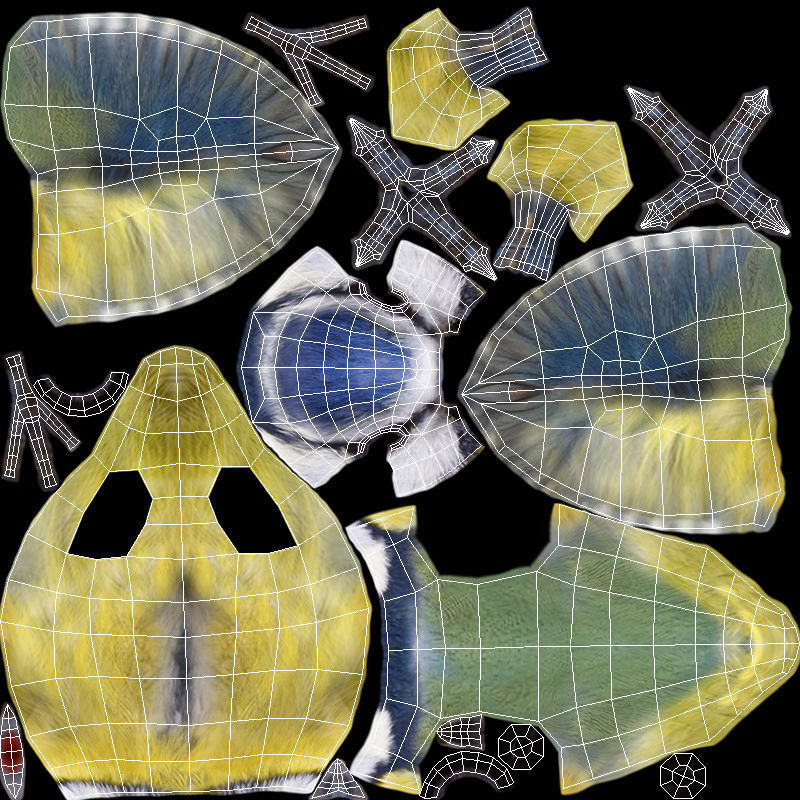 Blue tit Low-poly 3D model_16