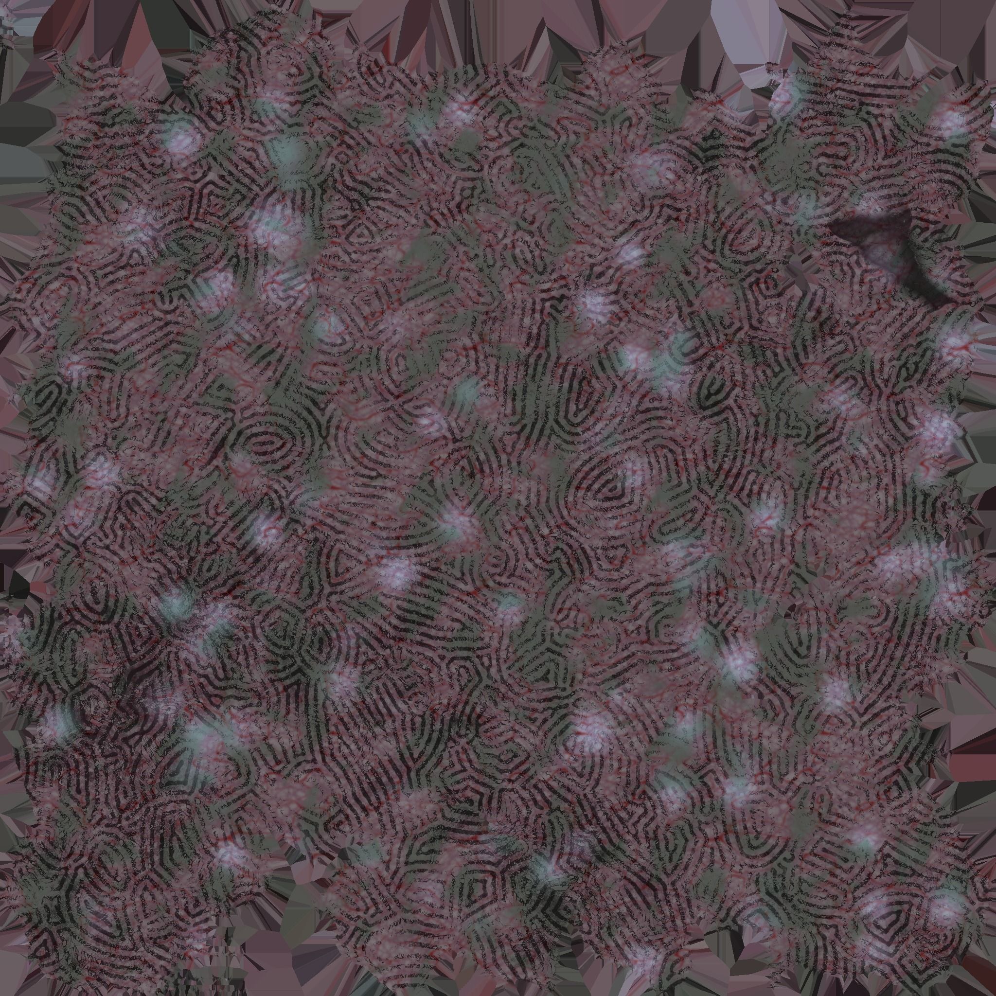 Kraken Sea monster Stylized model 3D model_2