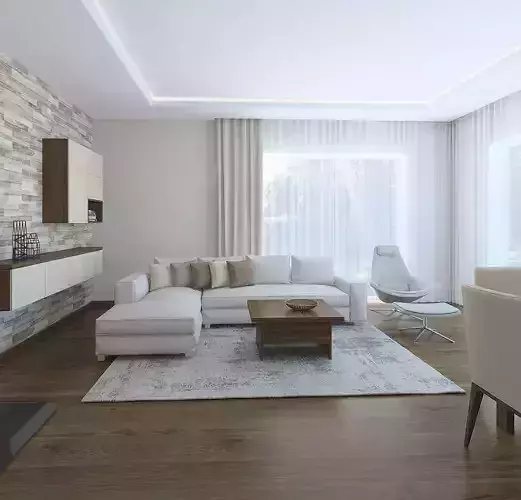 Amazing classic style living room