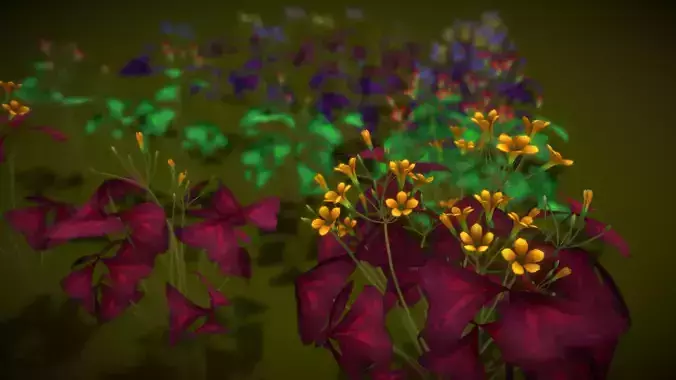 Flower- Christia- Species Low-poly 3D model