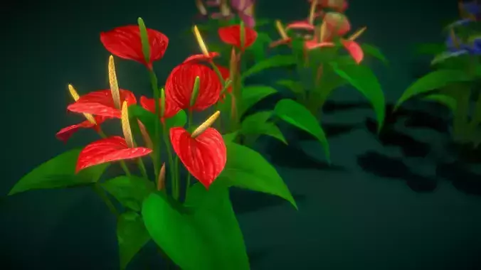 Flower Anthurium Floral Low-poly 3D model