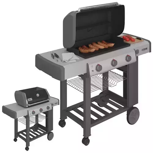 Weber Grill