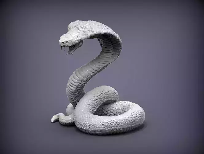 cobra snake 3D print model