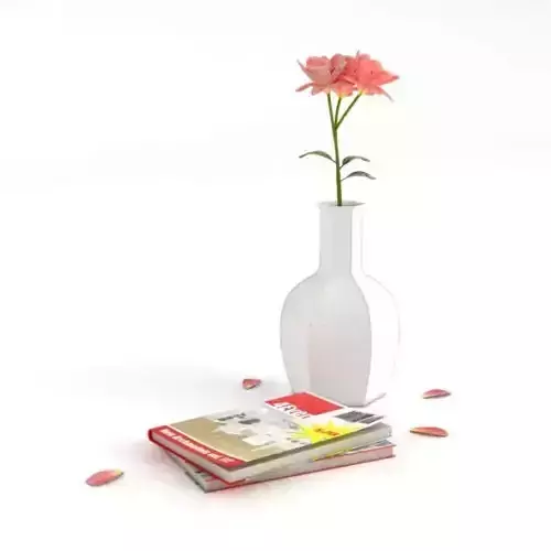 Home Decorations Vase Flower Book 3D model