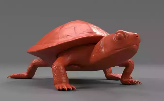 Baby Yellow bellied slider 3D print model