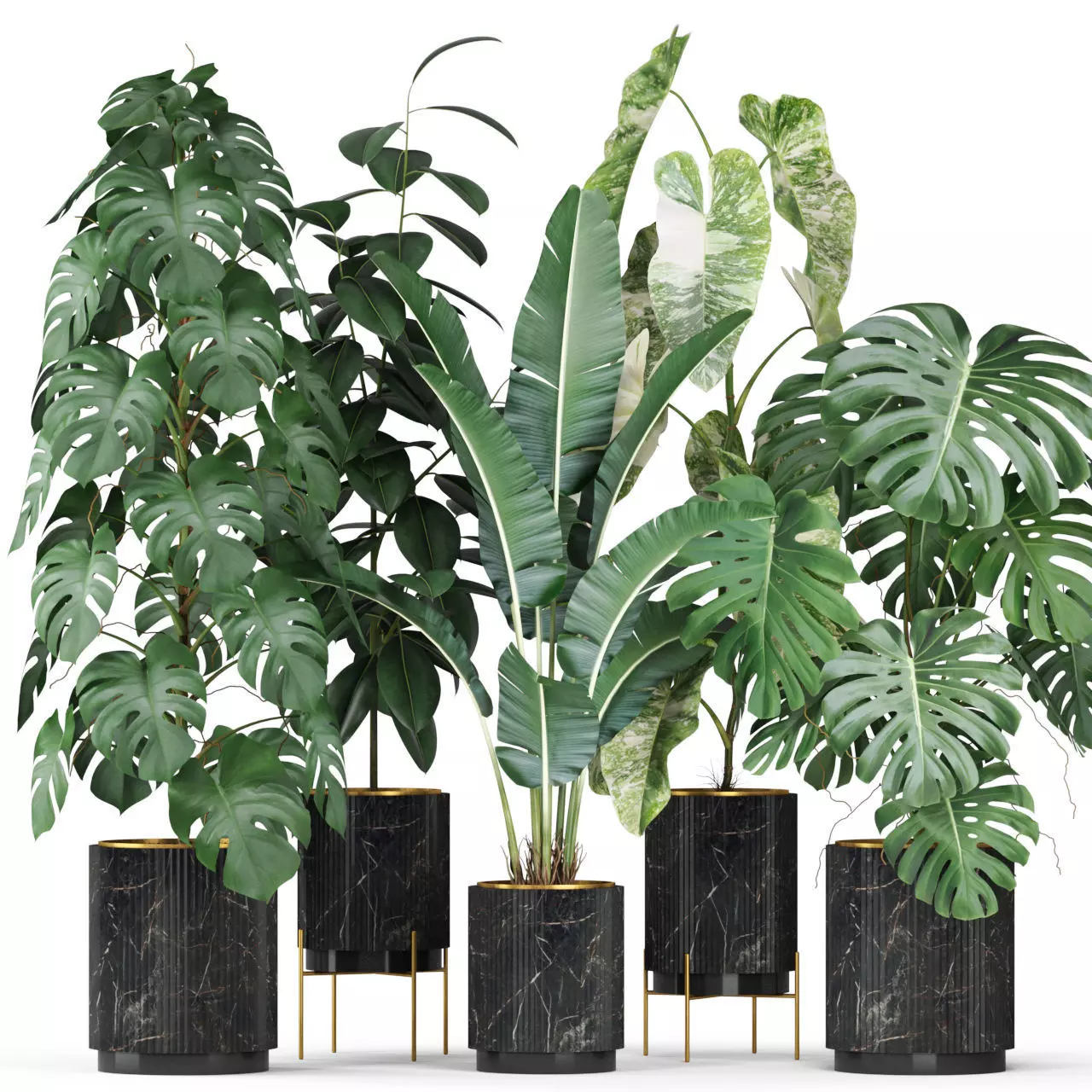 Plants collection 584 3D model_0