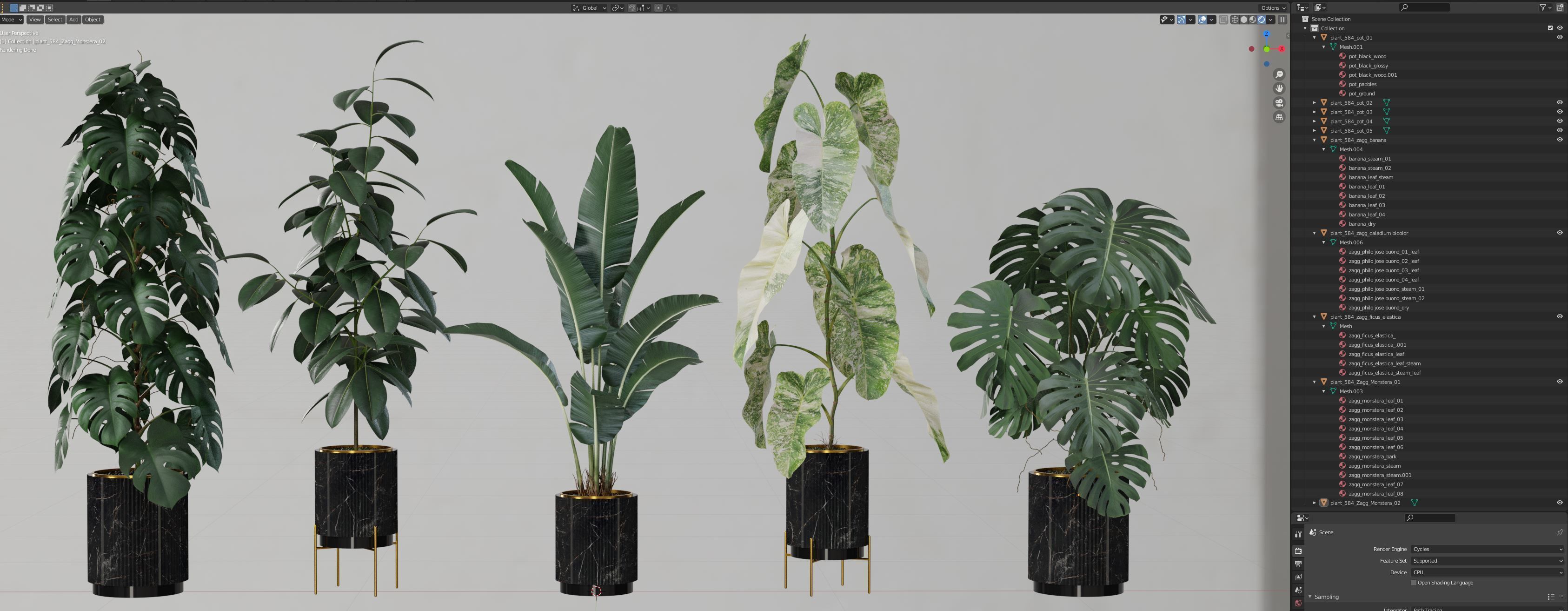 Plants collection 584 3D model_5