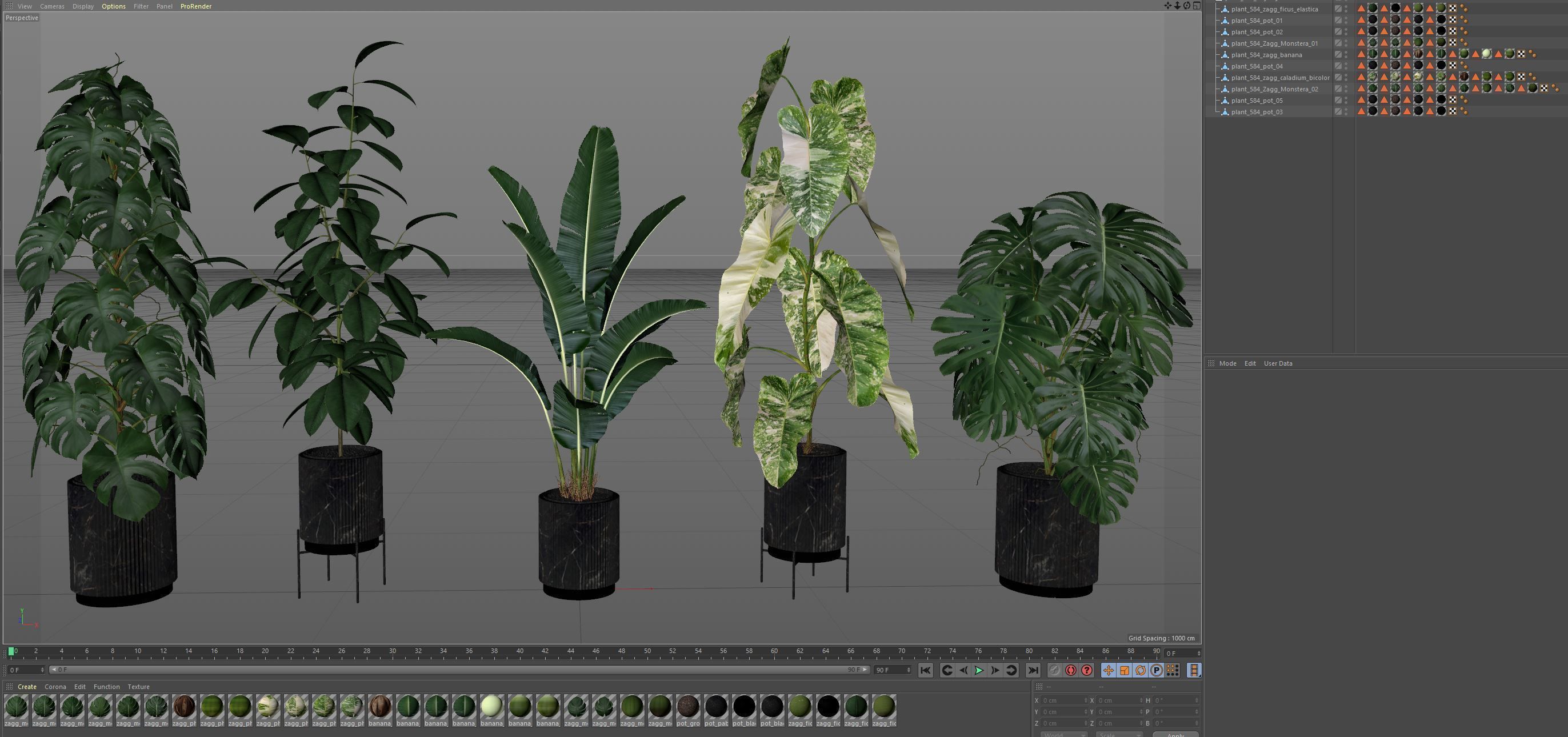 Plants collection 584 3D model_6