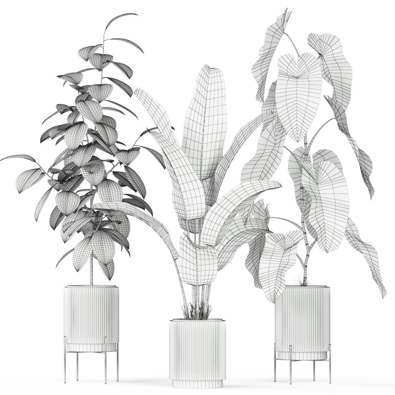 Plants collection 584 3D model_3