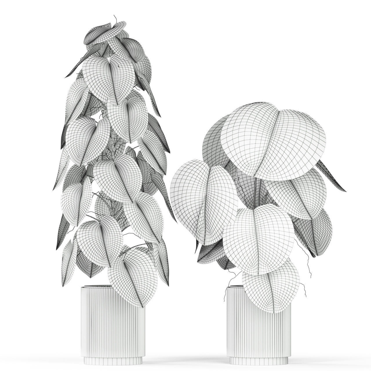 Plants collection 584 3D model_4