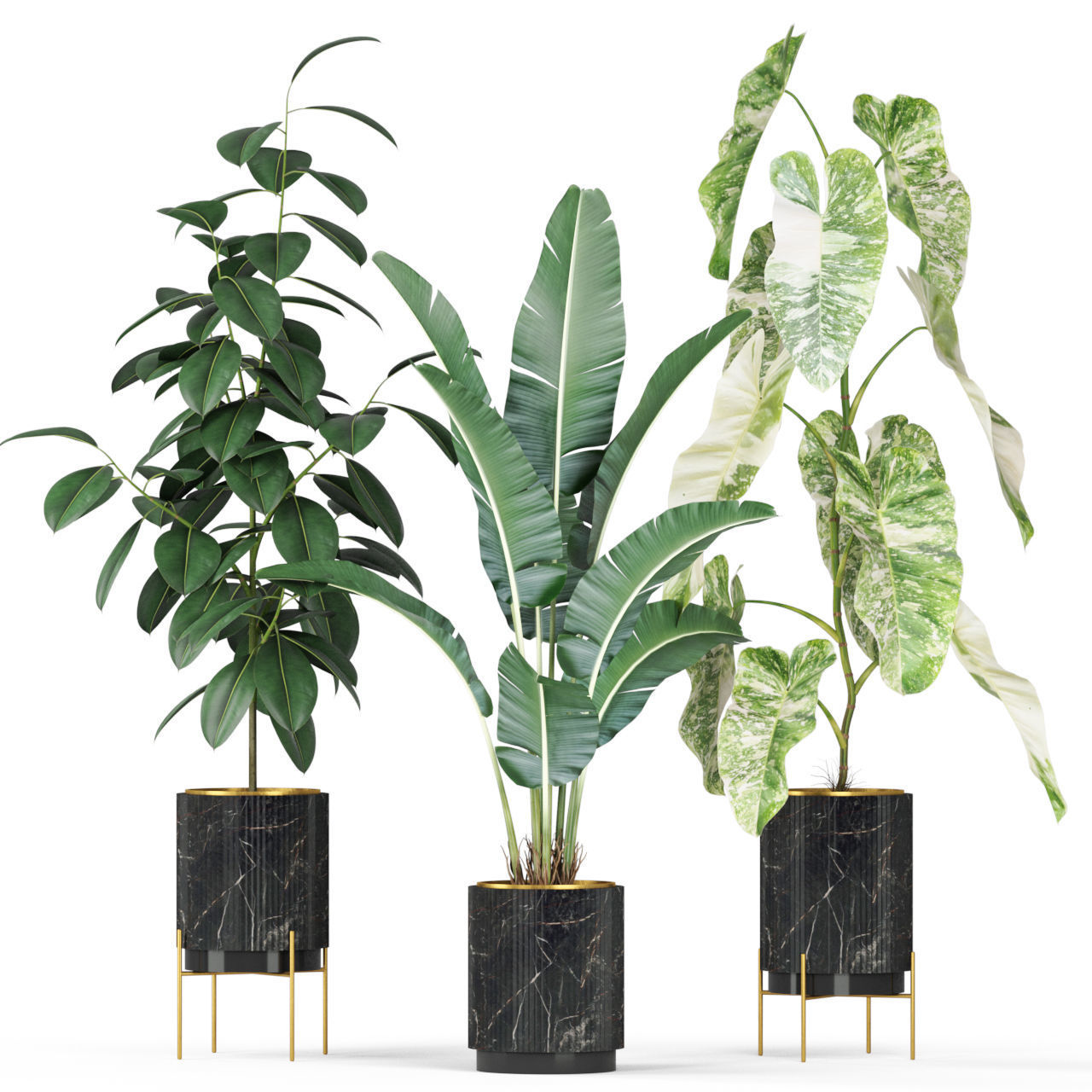 Plants collection 584 3D model_1