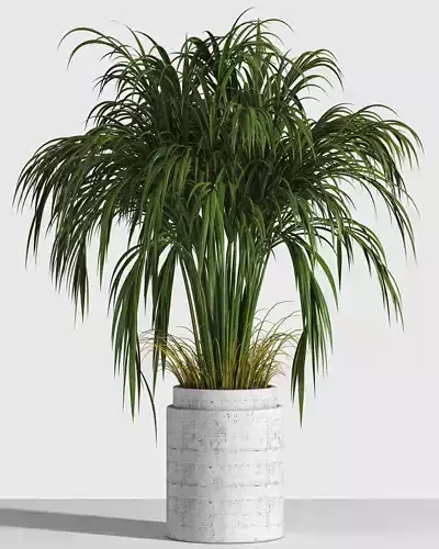 Indoor Flower box collection 2015 