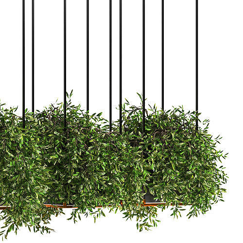 Indoor plant set 06 3D model