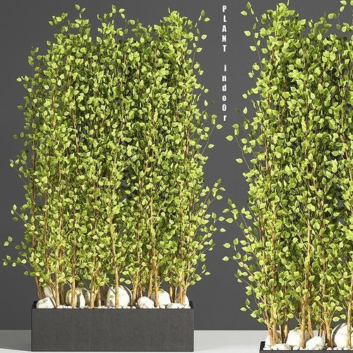 Indoor plant stand 03  3D model