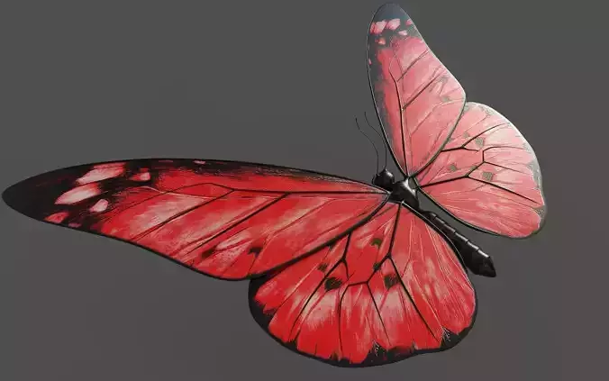 Butterfly 3d model with wings