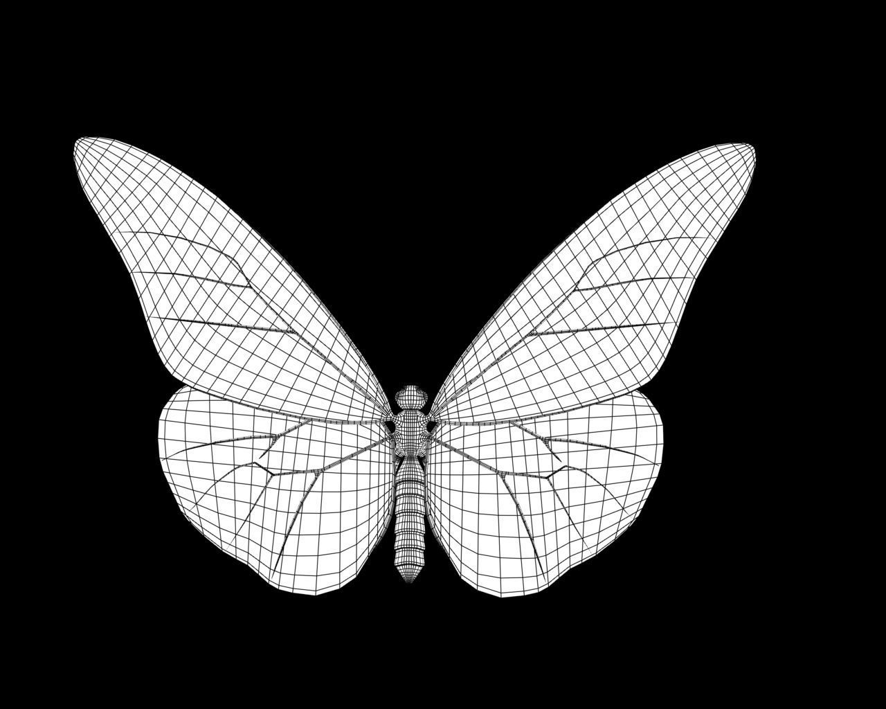 Butterfly 3d model with wings Low-poly 3D model_9