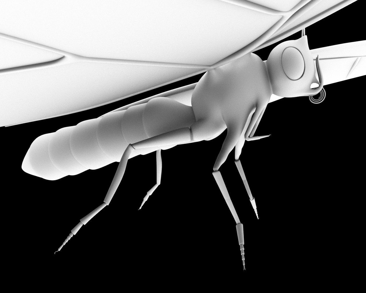 Butterfly 3d model with wings Low-poly 3D model_6