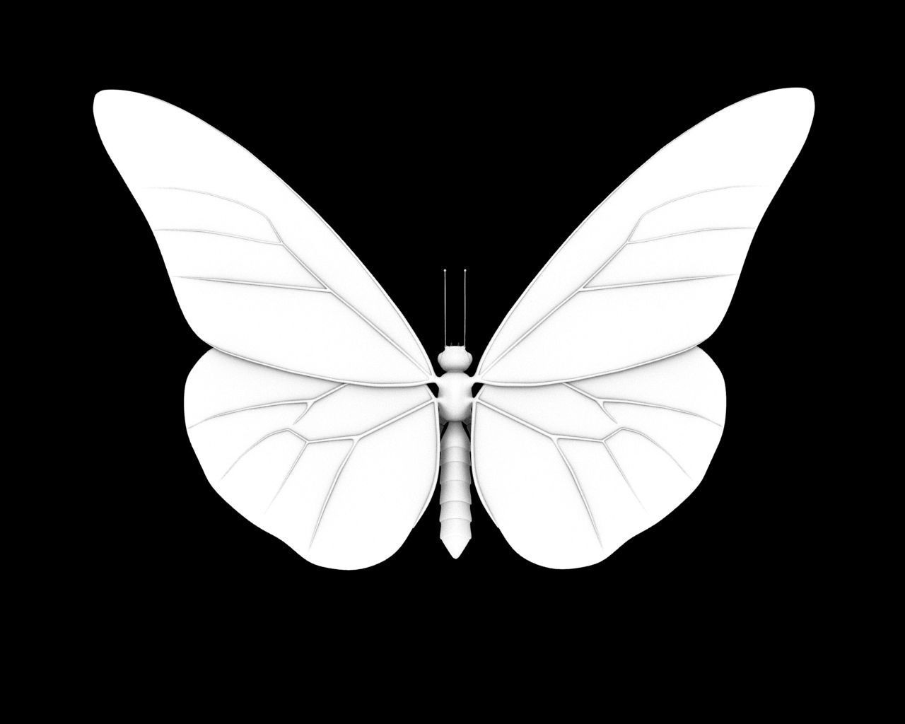 Butterfly 3d model with wings Low-poly 3D model_7