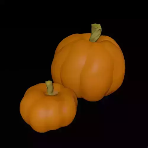 Two pumpkins Realistic pumpkin