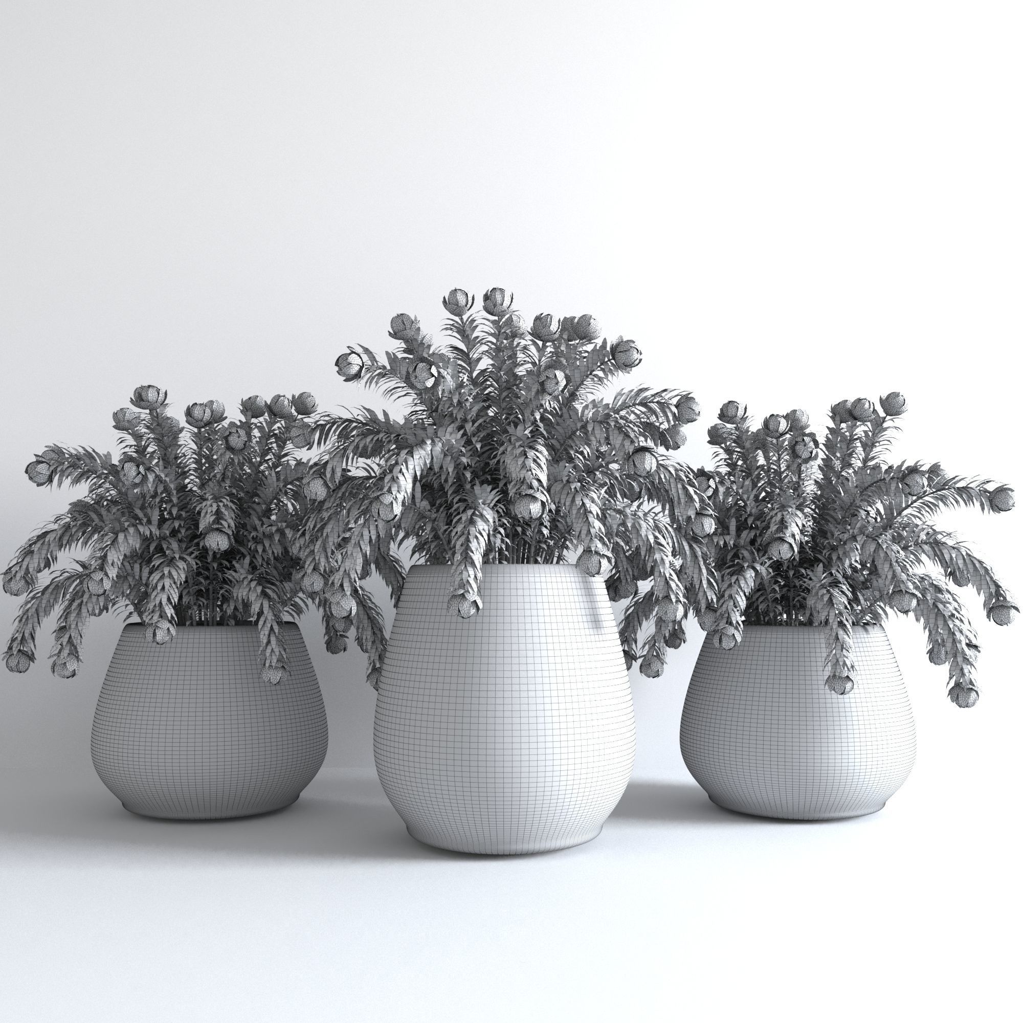 plants collection 15 3D model_4