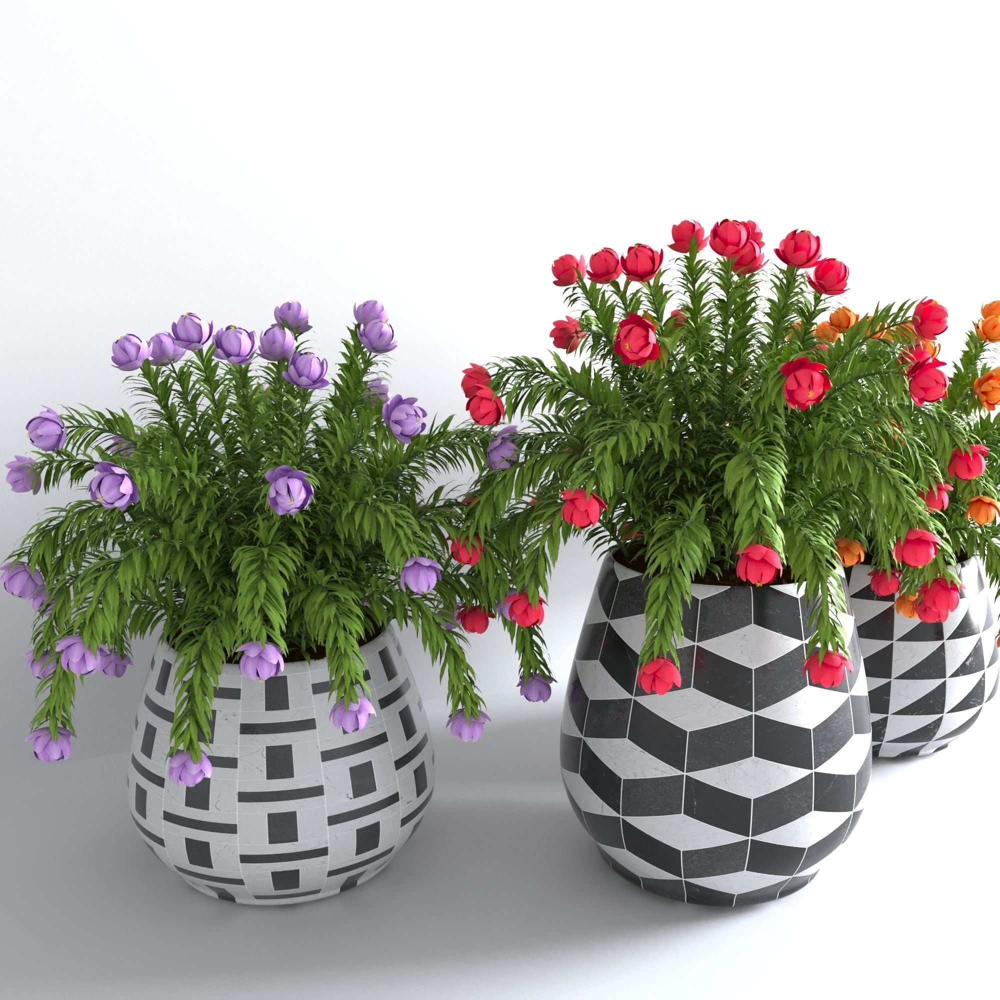 plants collection 15 3D model_2