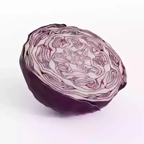 Pink Colored Cabbage 3D model