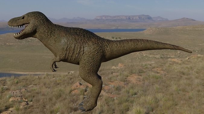 T-rex 3D t - rex Low-poly 3D model