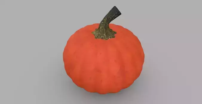 Pumpkin Orange Hokaido Vegetable