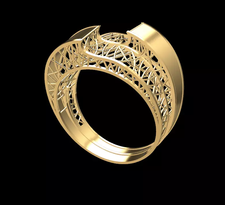 RING105 gold ring 3D print model_0