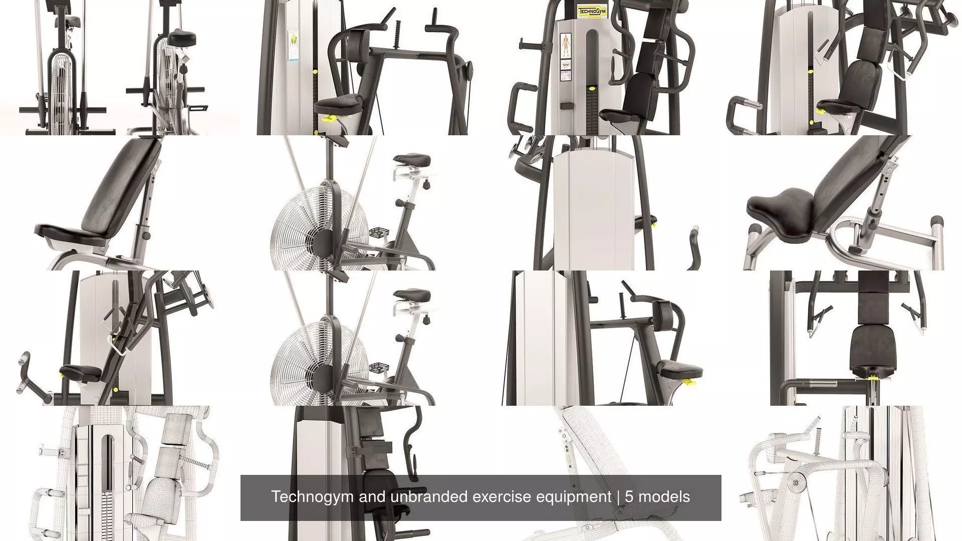 Technogym and unbranded exercise equipment 3D Model Collection_0