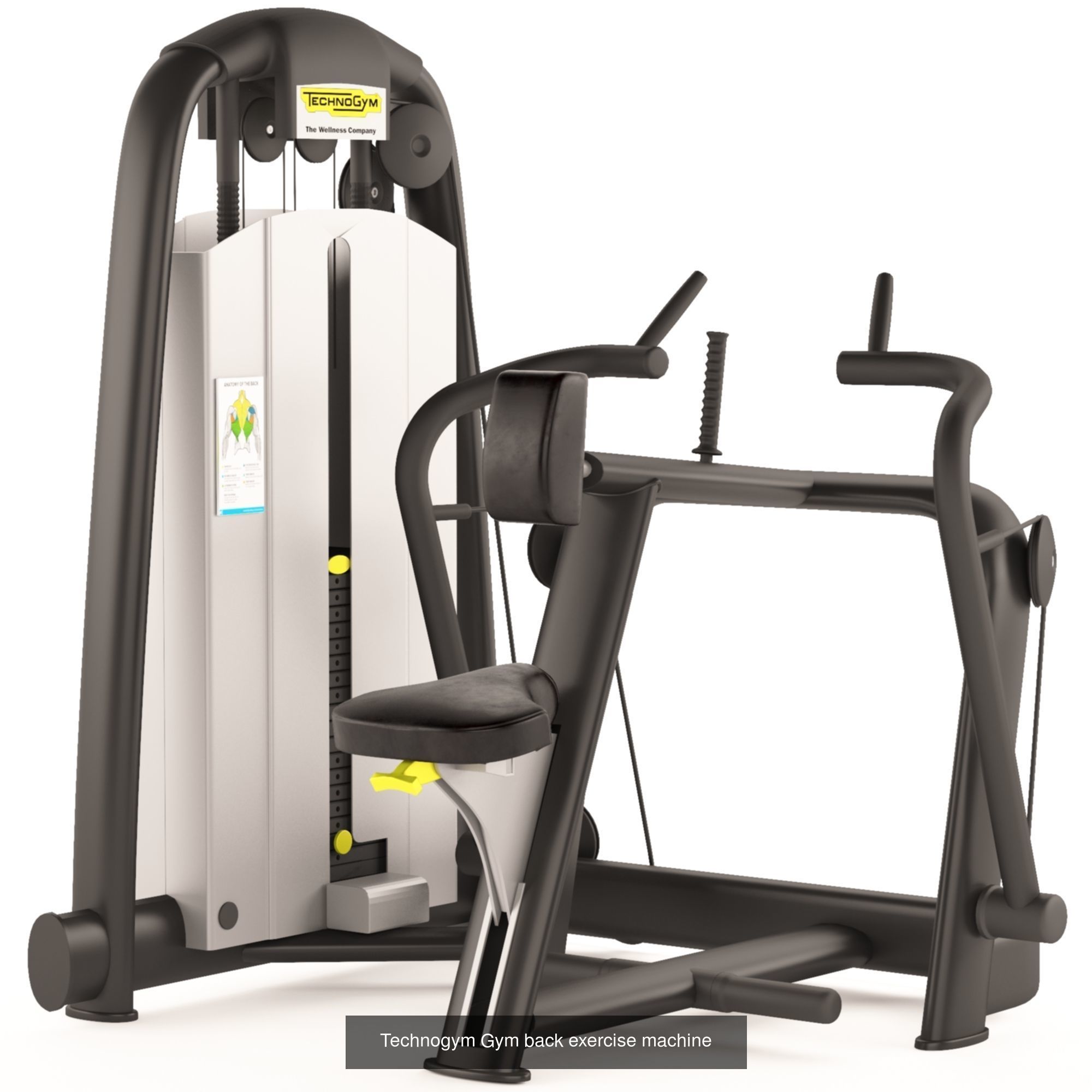 Technogym and unbranded exercise equipment 3D Model Collection_2