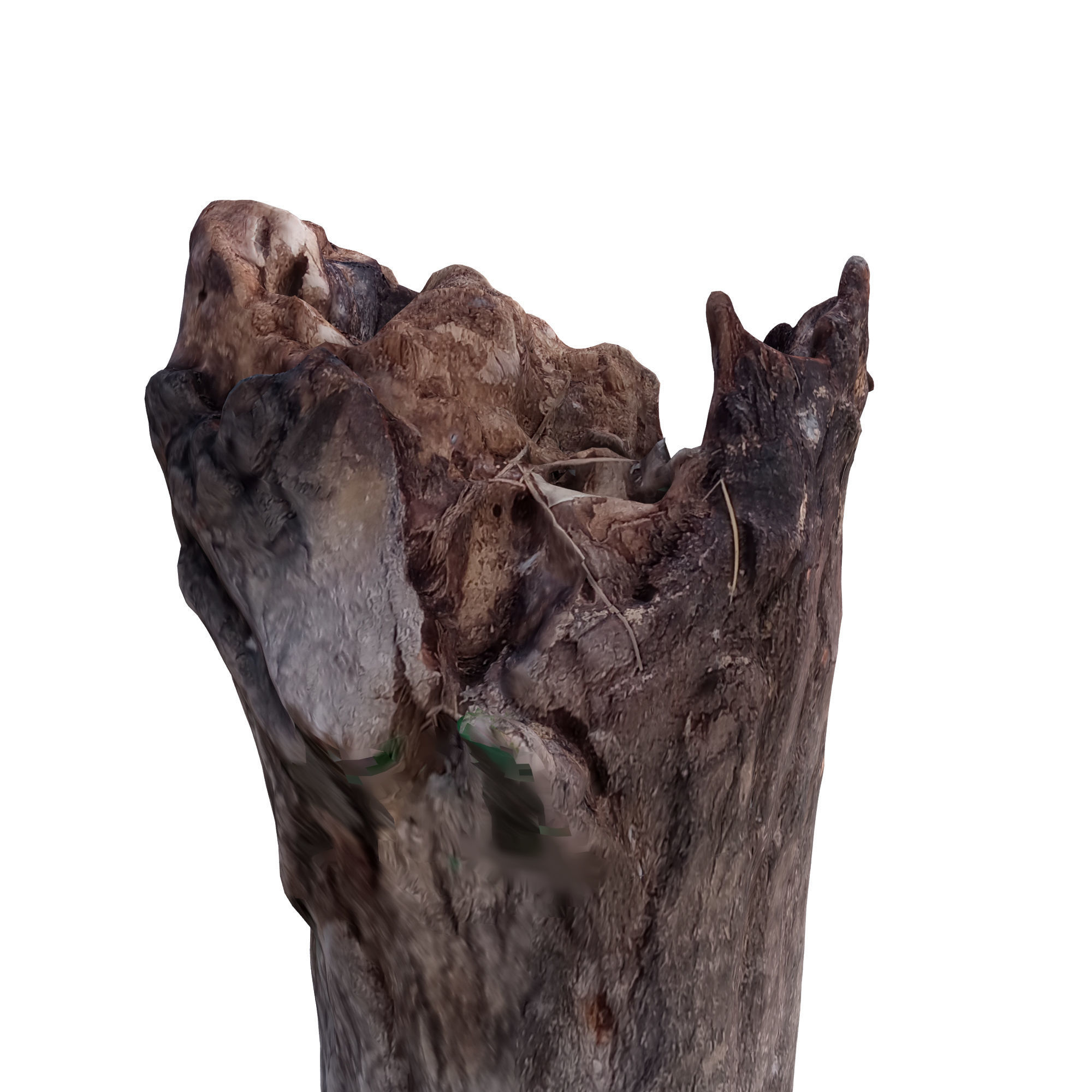 trunk 42 3D model_3