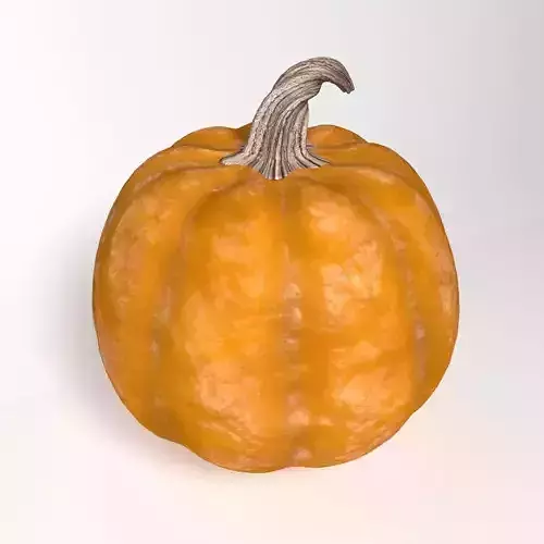 Pumpkin 3D model