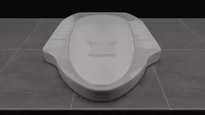 Toilet Seat