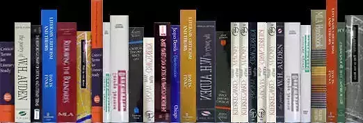  DECORATIVE FIREPLACE IS FOR YOU