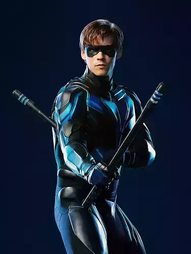 Nightwing Escrima sticks 3D print model
