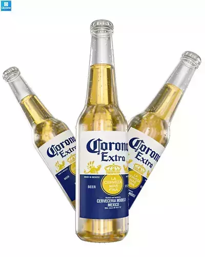 Corona beer 3D model
