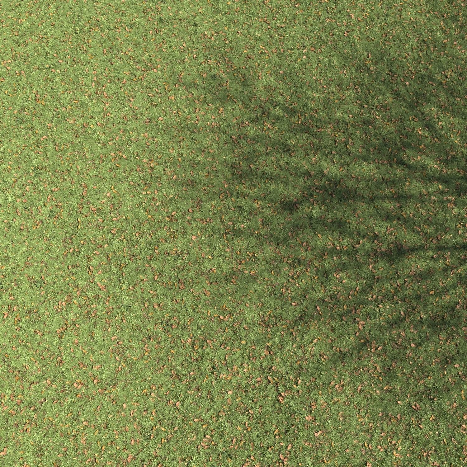 Lawn with autumn leaves 3D model_1