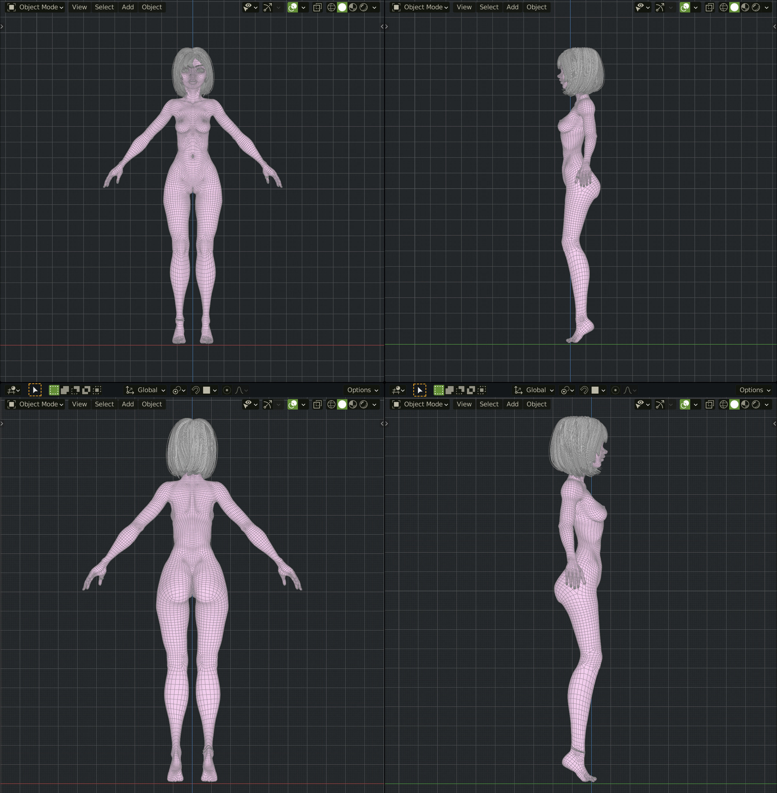 Annya Leona Female Rigged Blender Character 3D model_25