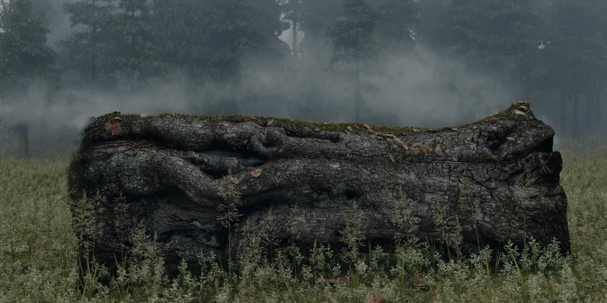 Photorealistic Different Tree Trunks Low-poly 3D model_4