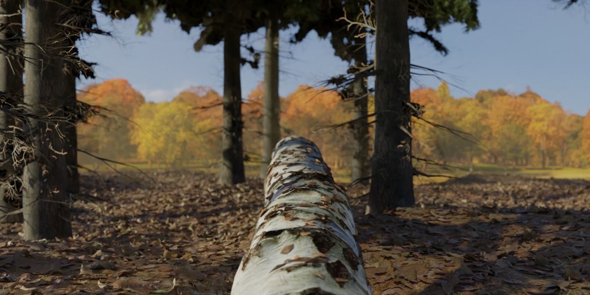 Photorealistic Different Tree Trunks Low-poly 3D model_5