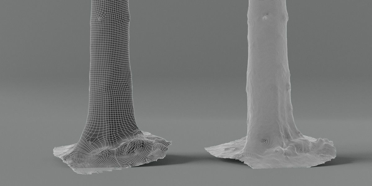 Photorealistic Different Tree Trunks Low-poly 3D model_7