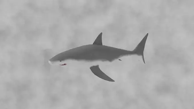 White shark animals low-poly game ready Free low-poly 3D model