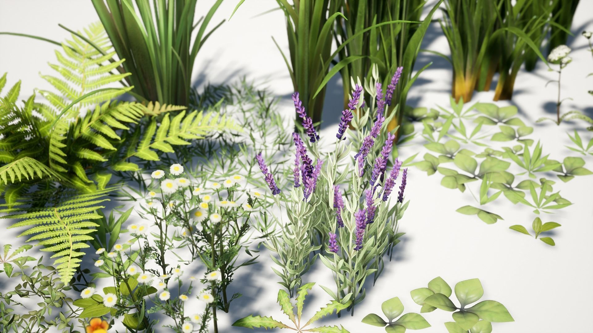 Grass Field Pack Low-poly 3D model_12