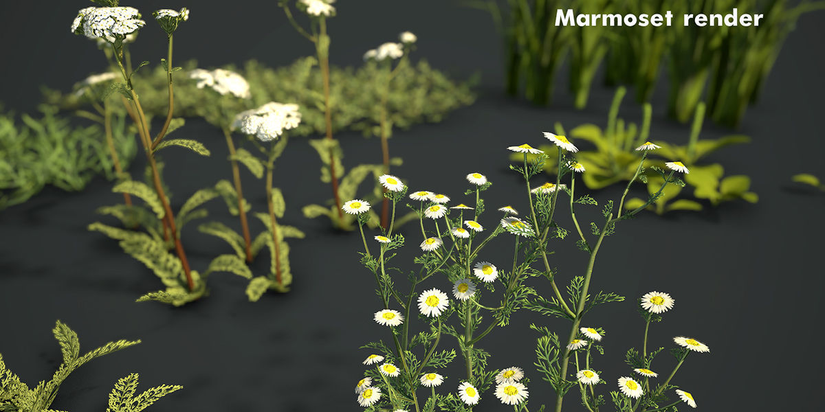 Grass Field Pack Low-poly 3D model_26